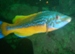 DSC01826.JPG